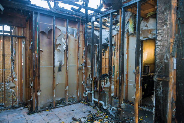 Professional Smoke Damage Removal technician working in New Germany, MN